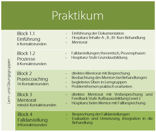 Praktikum – Lehrinstitut Radloff